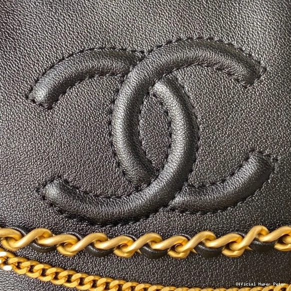 Hyper Peter bag CHANEL camera 0806